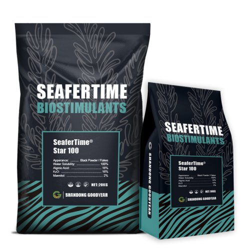 SeaferTime® Star 100