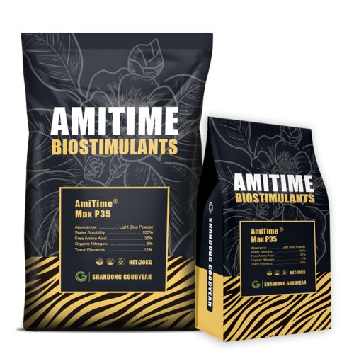 AmiTime® Max P35